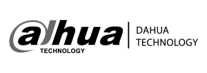 logo_dahua