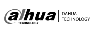 logo_dahua
